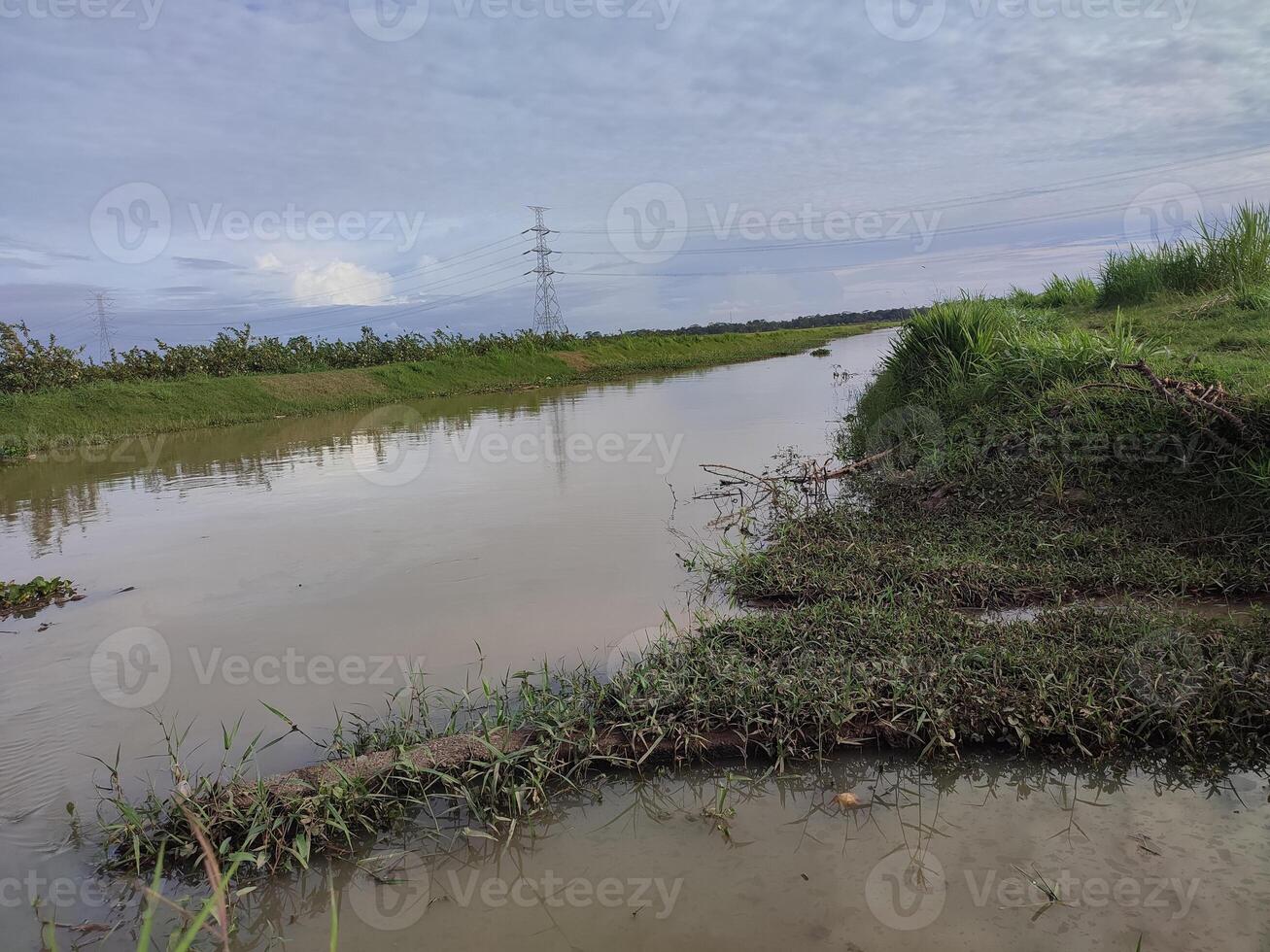 a flooded river with grass and trees in the background photo
