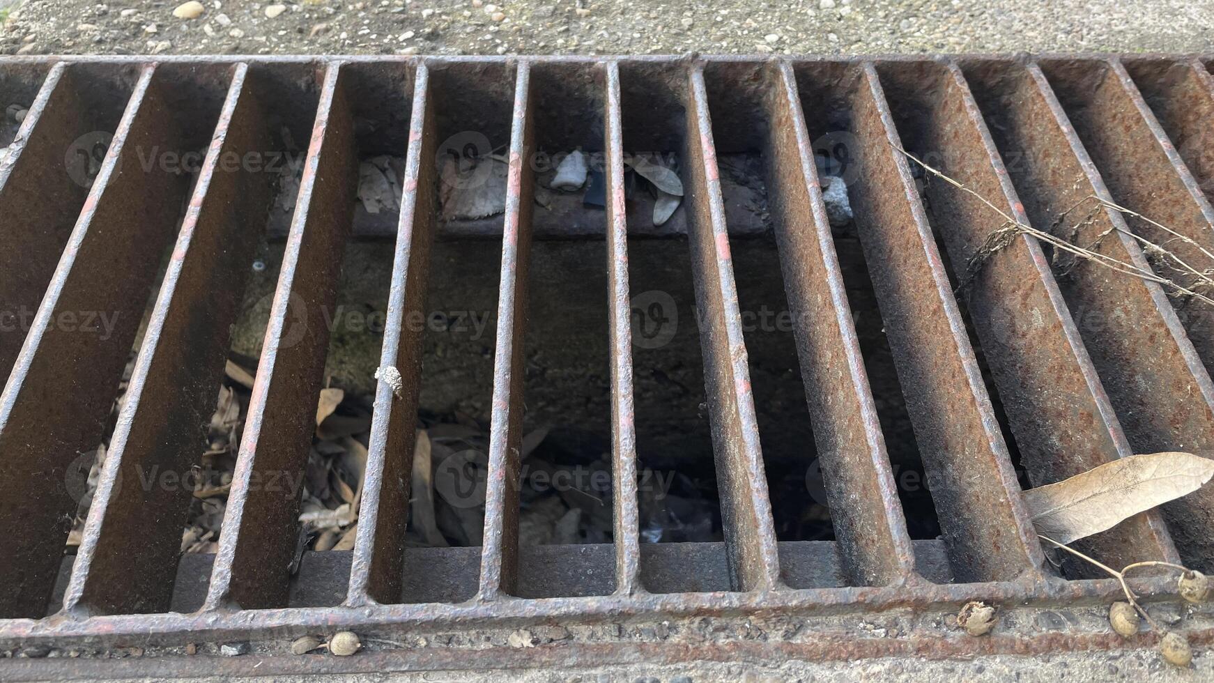 Rusty drain cover lined with leaves reflects a blend of nature and urban life on a sunny afternoon photo