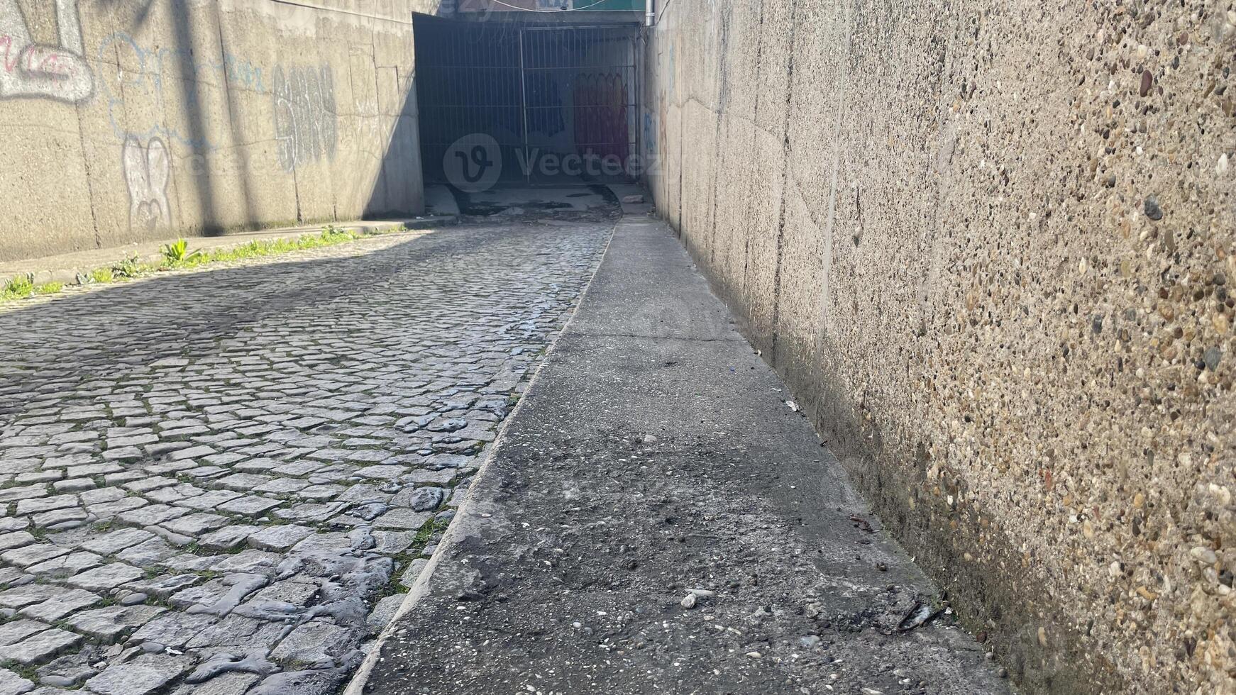 Urban alleyway captured at morning light shows cobblestones and a hint of overgrown greenery in a quiet neighborhood photo