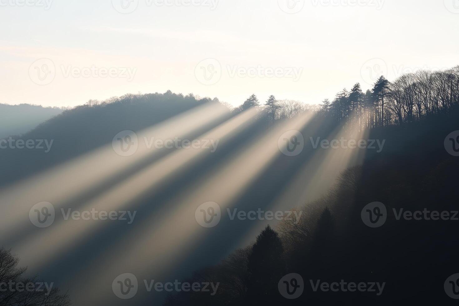 Sunlight streams through trees on a misty morning in the mountains creating a serene atmosphere photo