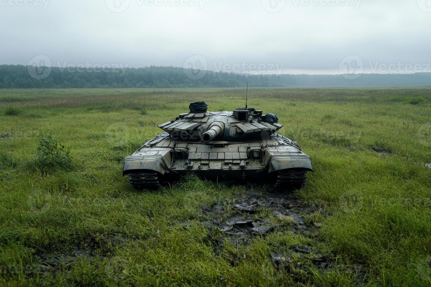 Military tank in a green field under cloudy sky during overcast day photo