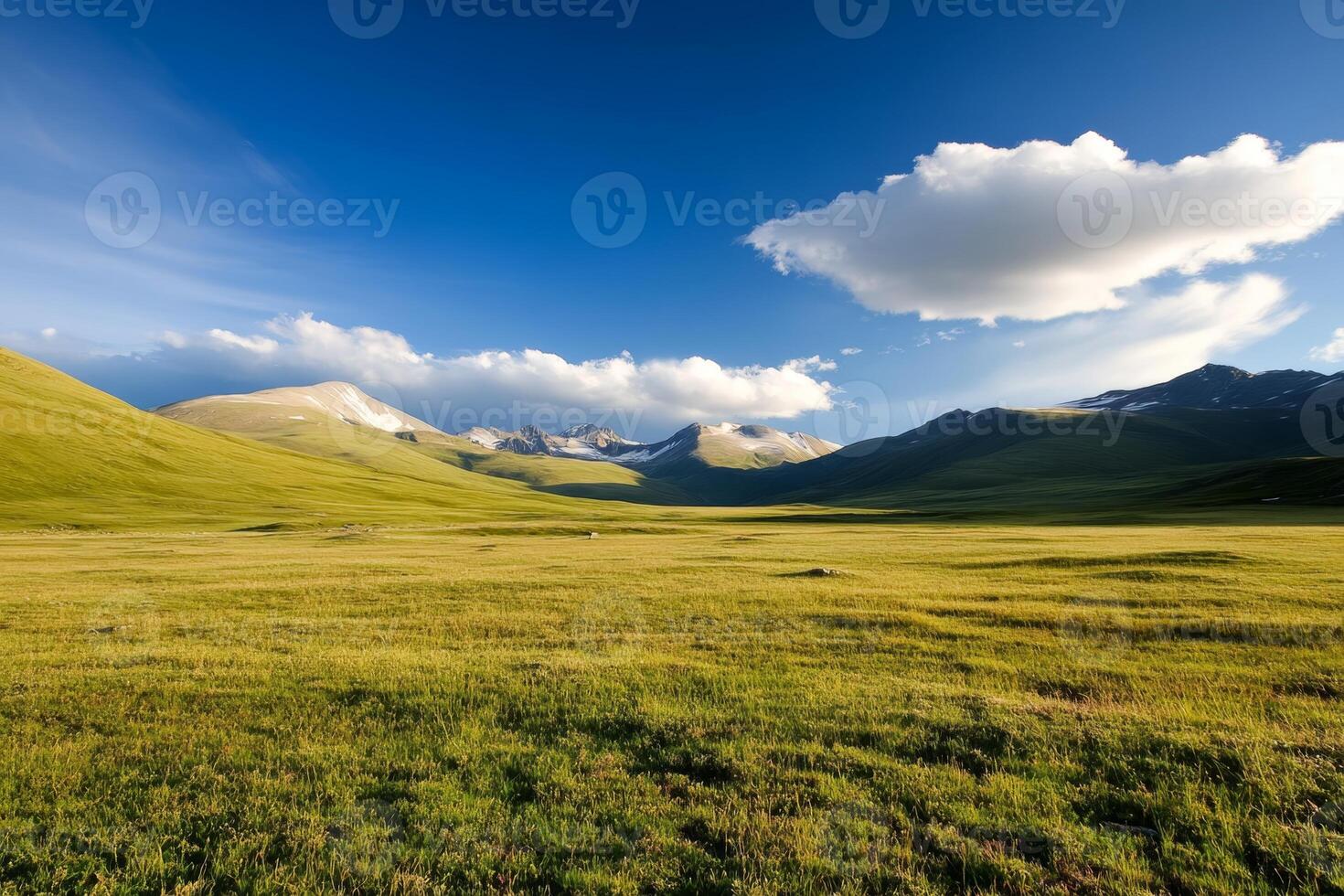 Vast green landscape under a clear blue sky with distant mountains in the background during daytime photo