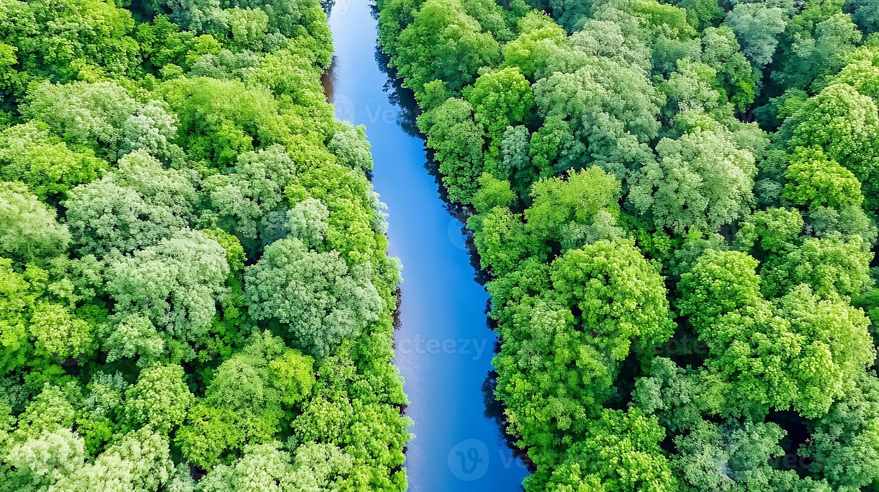 Aerial View of Lush Green Forest with Serpentine River Nature Photography photo