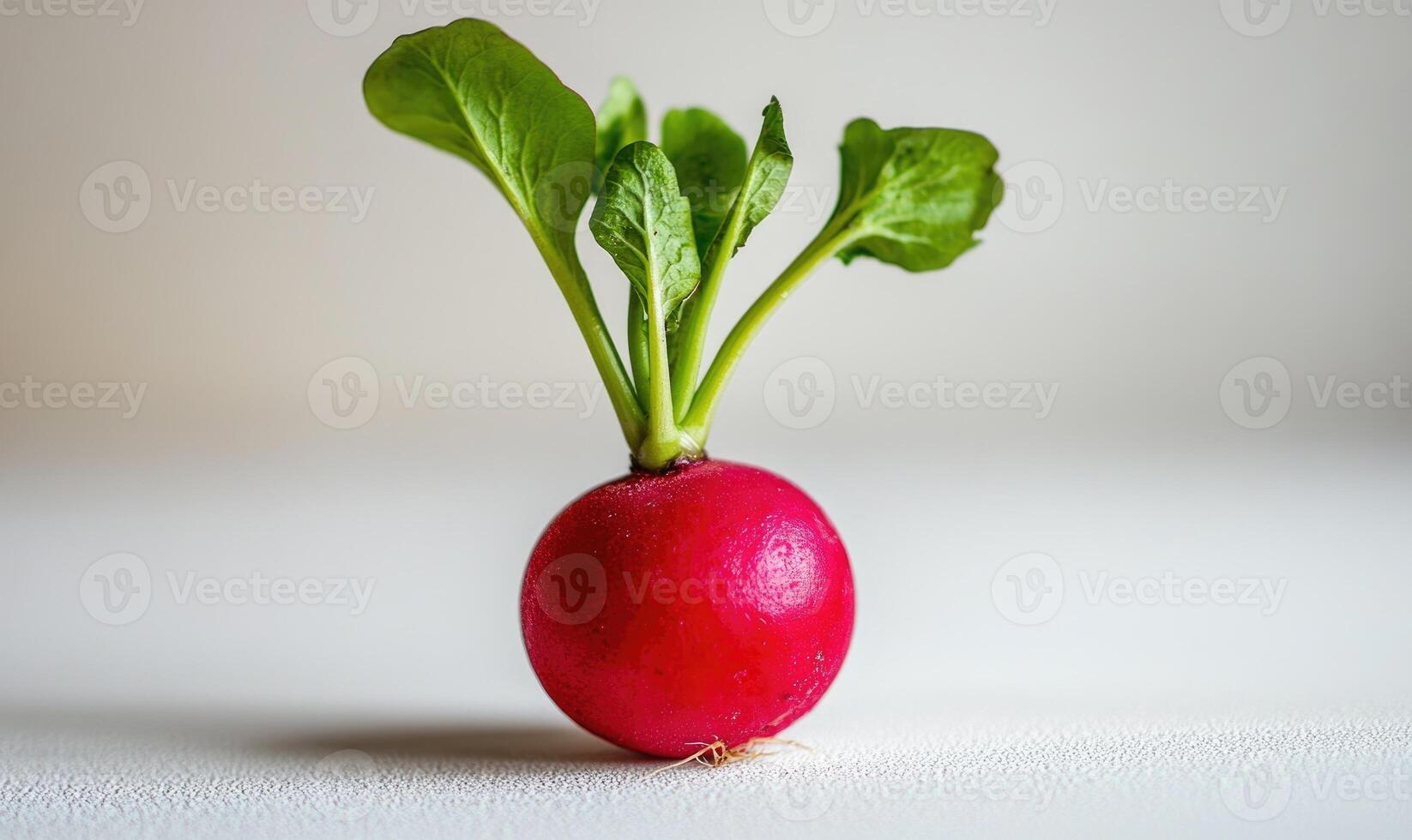 A small red radish with a green stem photo