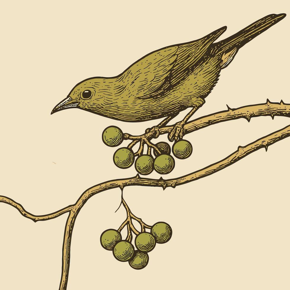 Small Bird Perched on Berry Branch with Thorns Illustration vector