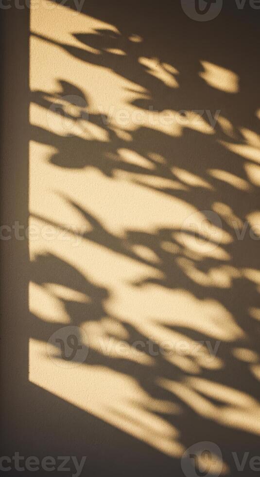 Minimalist image of leaf silhouettes dancing in the sunlight photo