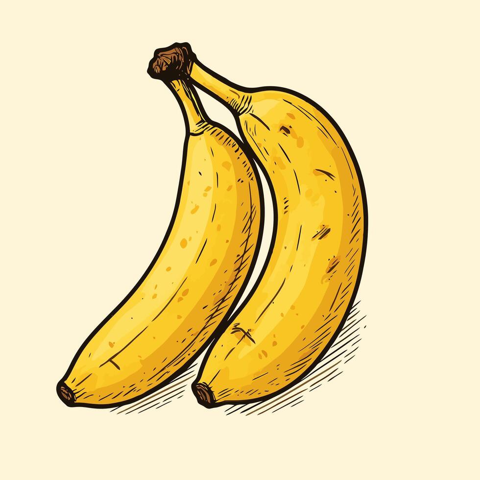 Two Yellow Bananas Graphic Illustration of Tropical Fruit vector