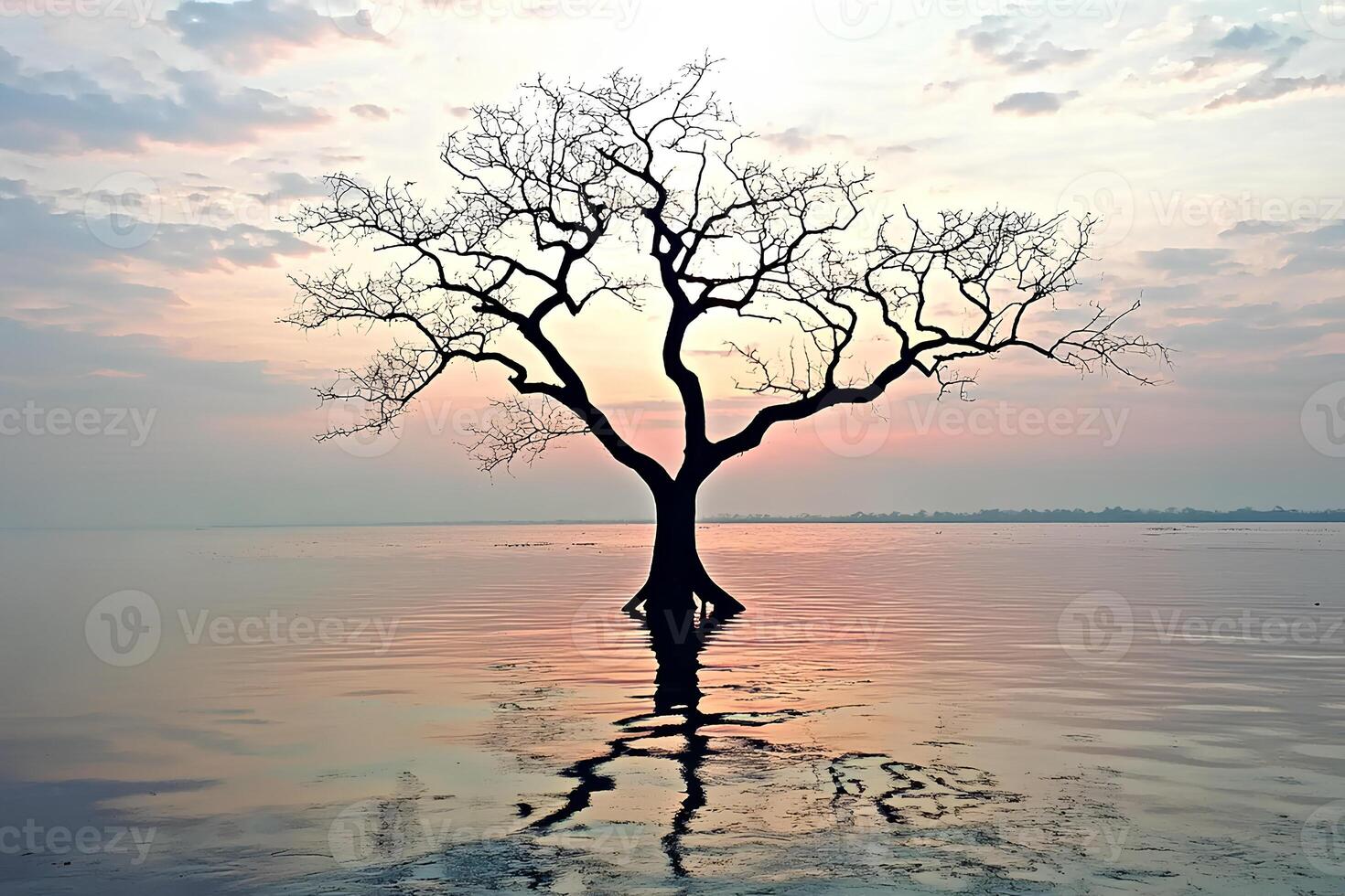 A hauntingly beautiful scene of a dead tree standing in a serene lake at sunset, capturing the warm glow of the sky and the reflection on the water in Thailand photo