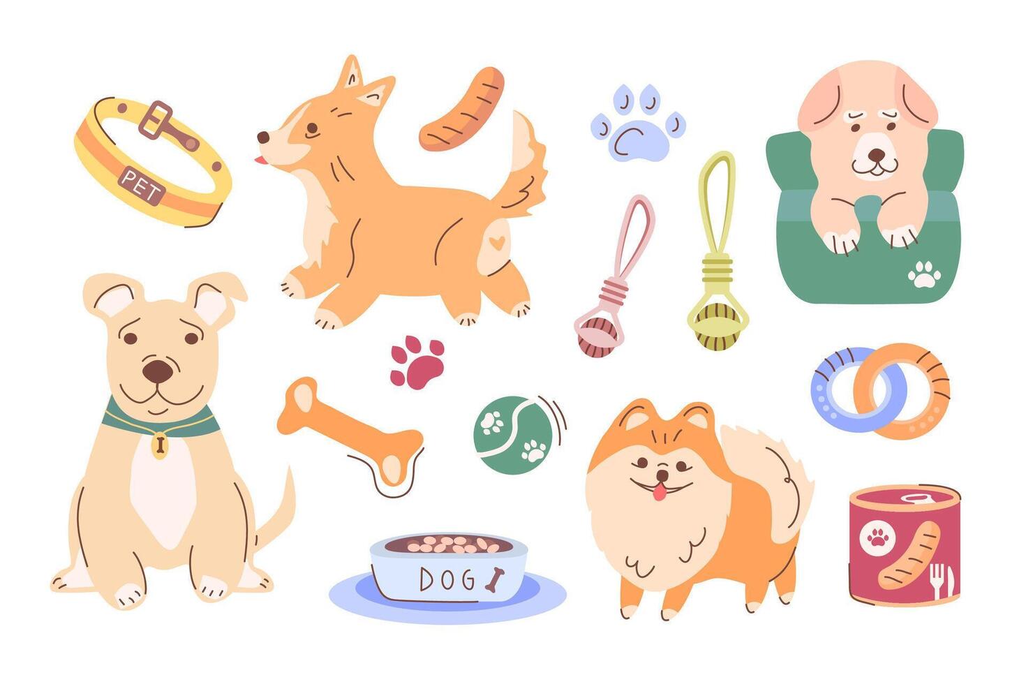 A set of cliparts with purebred pets, accessories for animals and food. Cute dogs in different poses colorful series. A charming set with dogs for the design of advertising services for animals vector