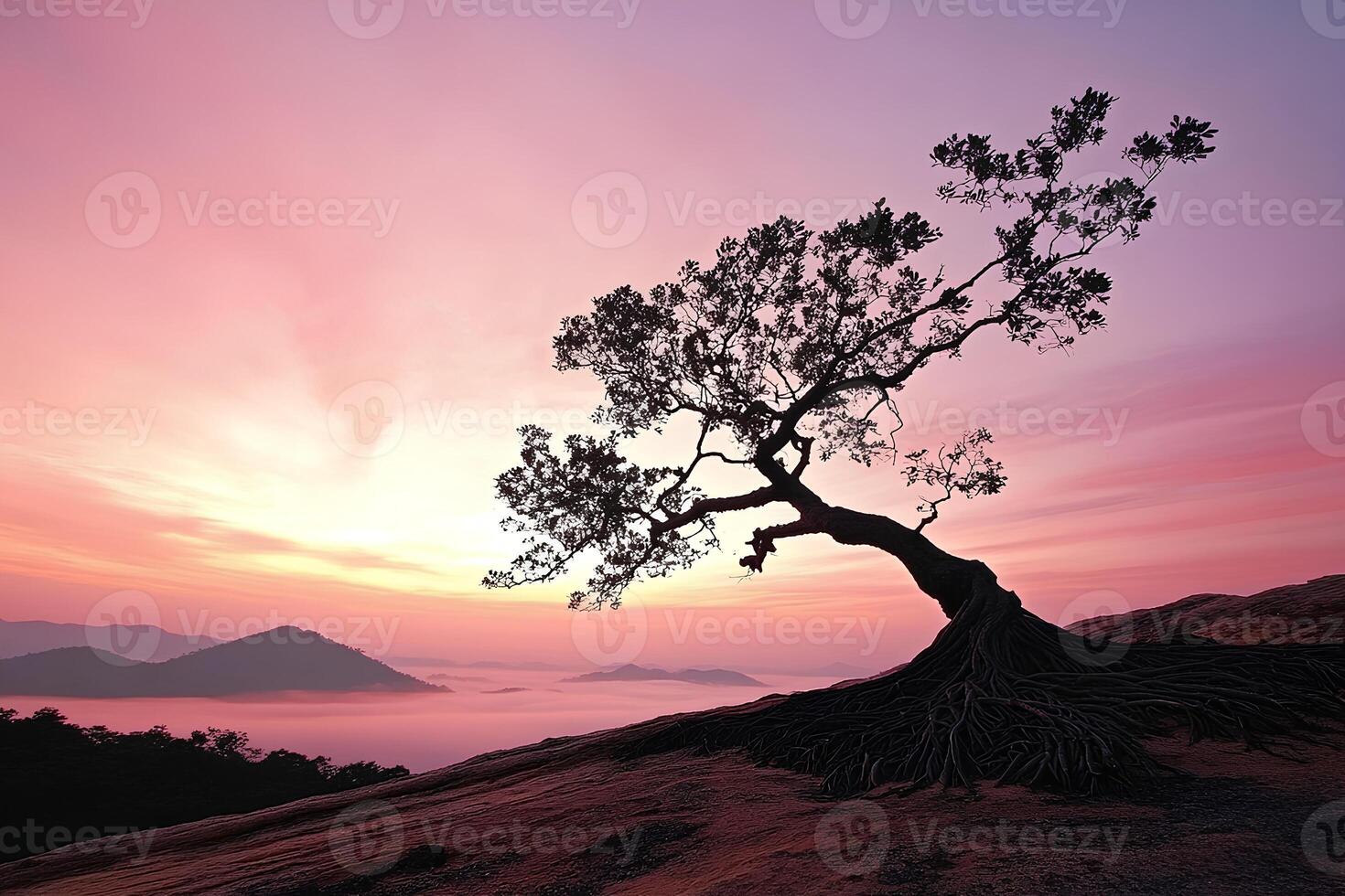 A serene scene of a lone tree on top of a mountain, bathed in the warm light of the sunrise, creating a peaceful and inspiring landscape photo