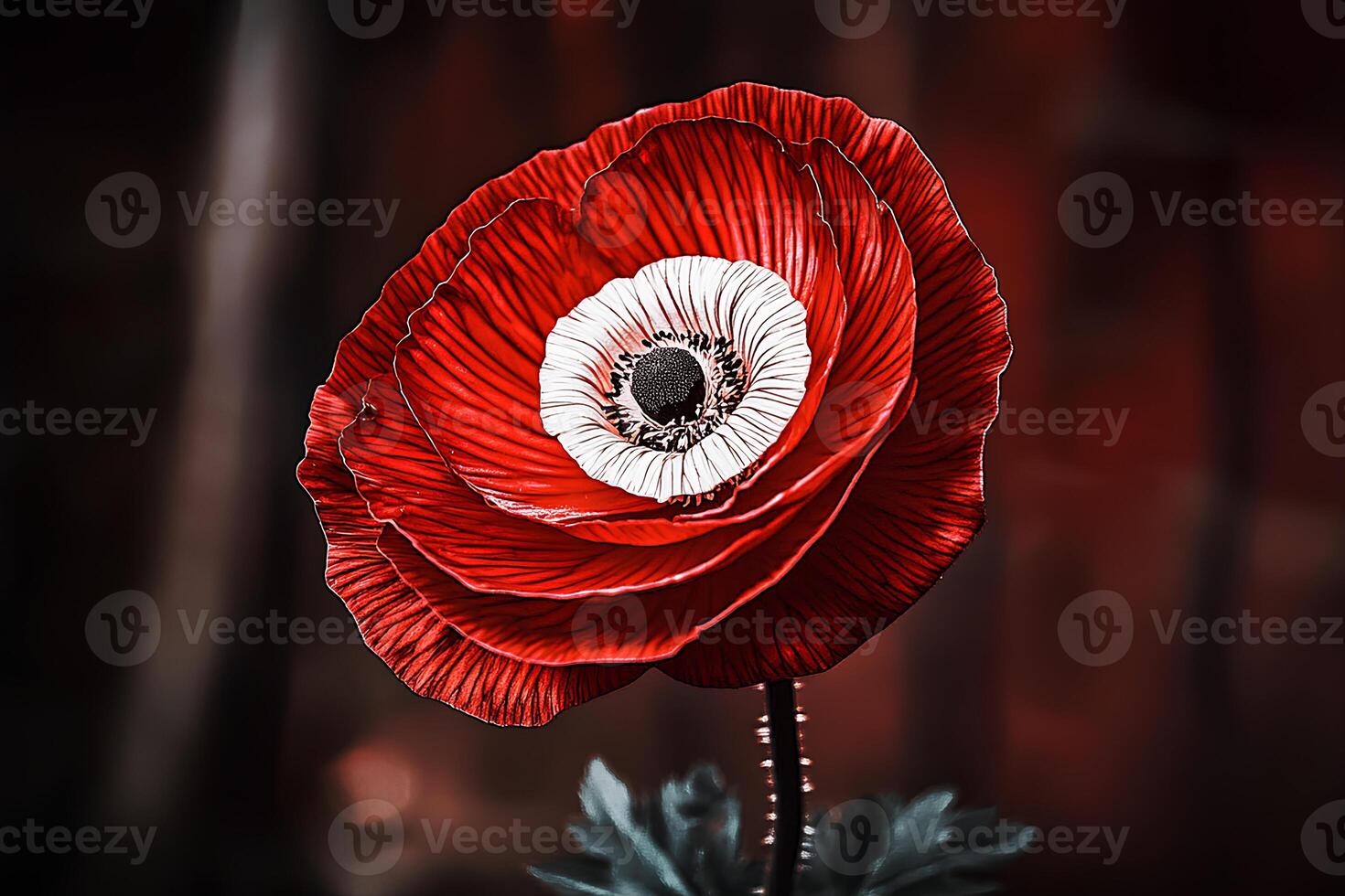 A striking poppy flower in full bloom, set against the rugged texture of a dark red brick wall, creating a bold contrast between nature and urban elements photo