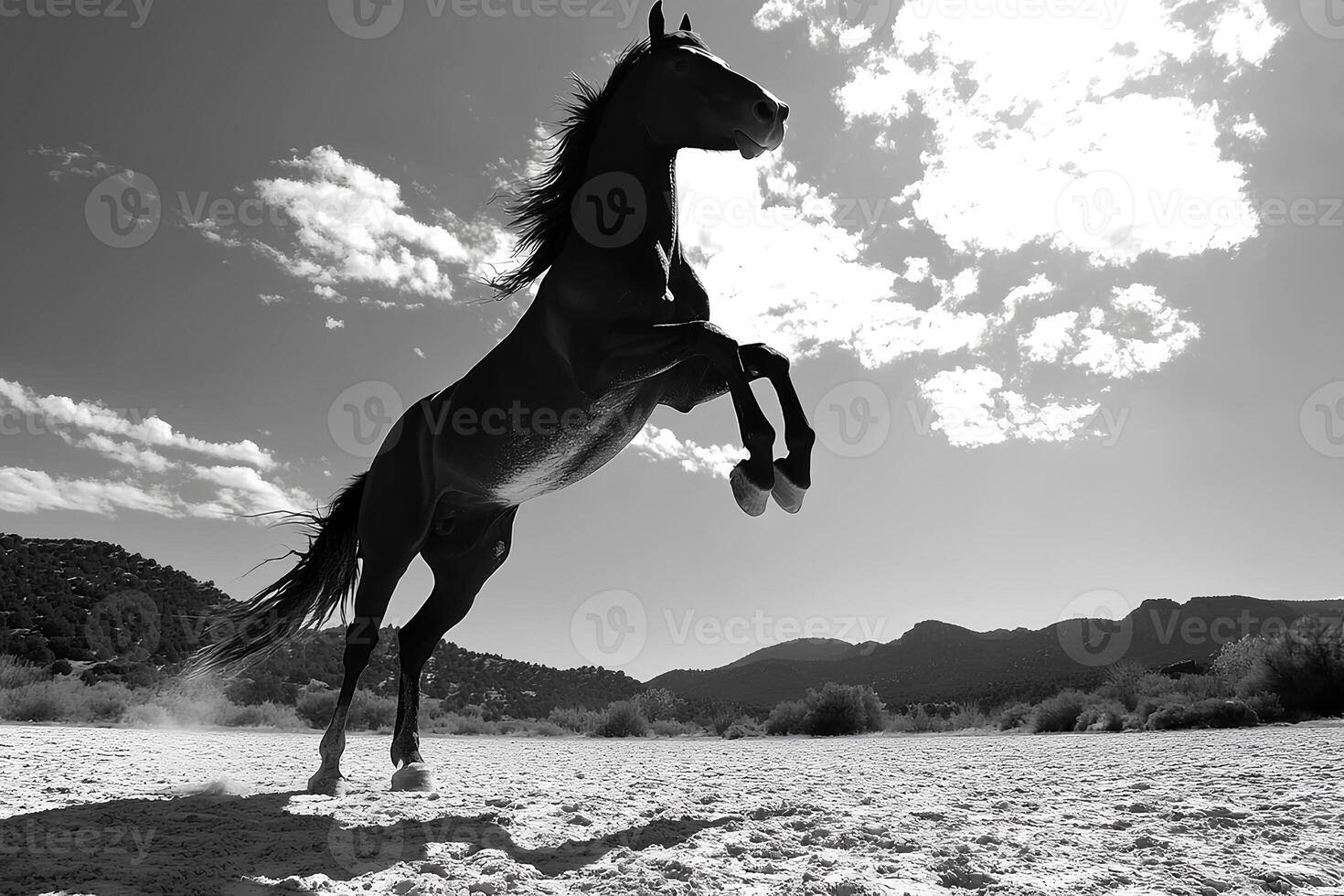 Powerful black and white image of a horse running across the desert with dust rising and dramatic motion captured photo