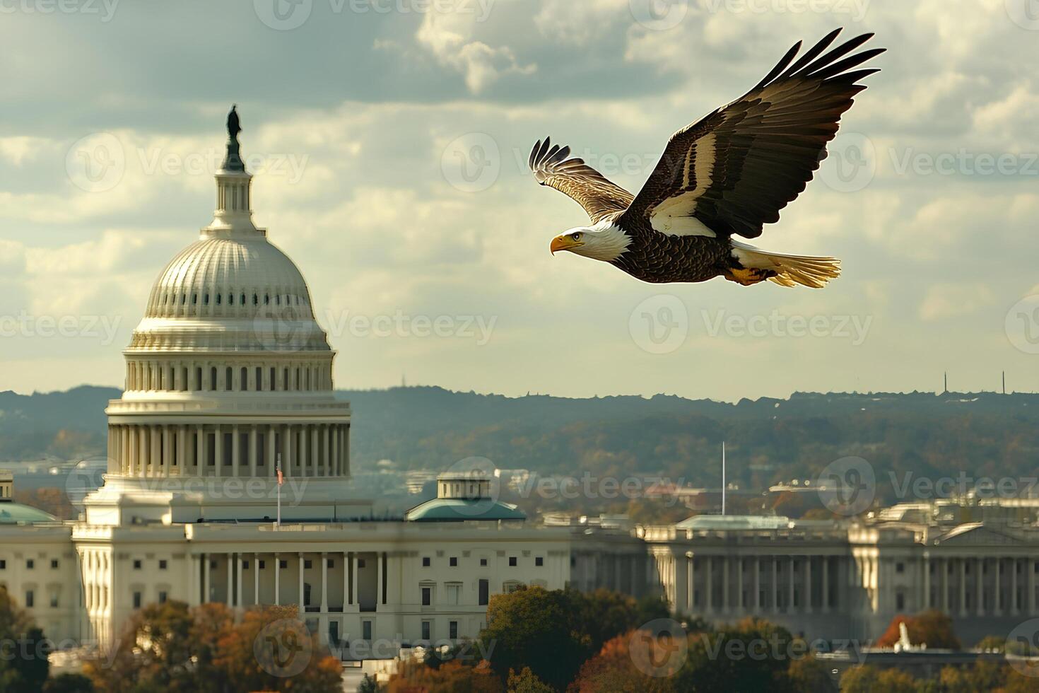 An American Bald Eagle soaring high above Washington DC, with the city's iconic landmarks in the background, symbolizing freedom and strength photo