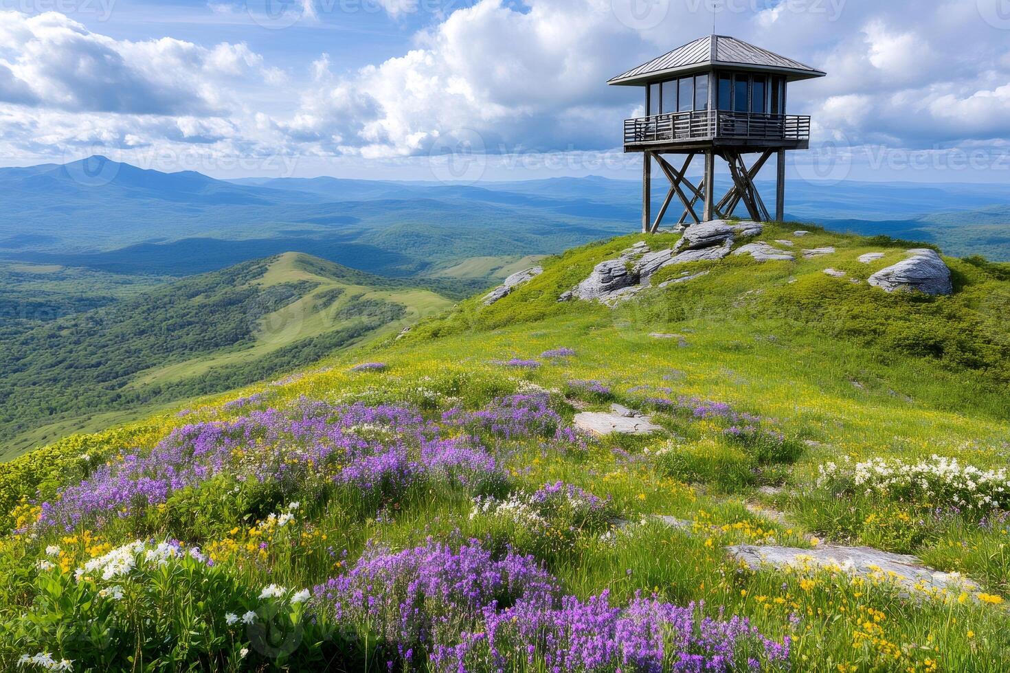 Fire tower standing on a mountain meadow overlooking Spruce Knob-Seneca Rocks National Recreation Area in West Virginia photo
