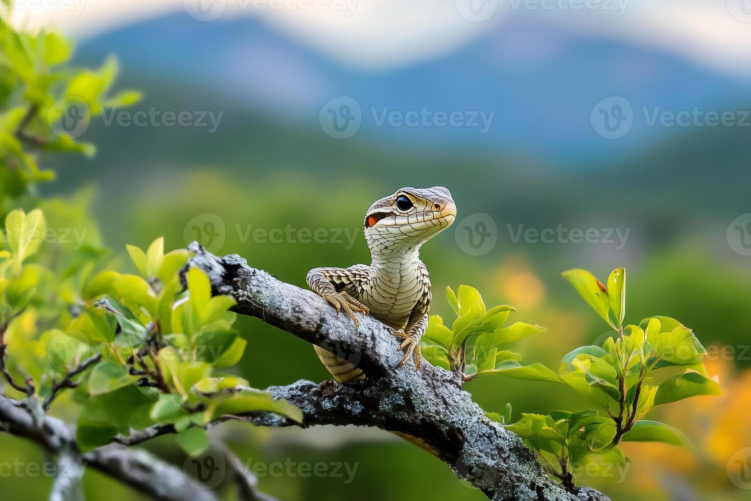 Curious lizard resting on a branch is observing the surroundings in nature photo