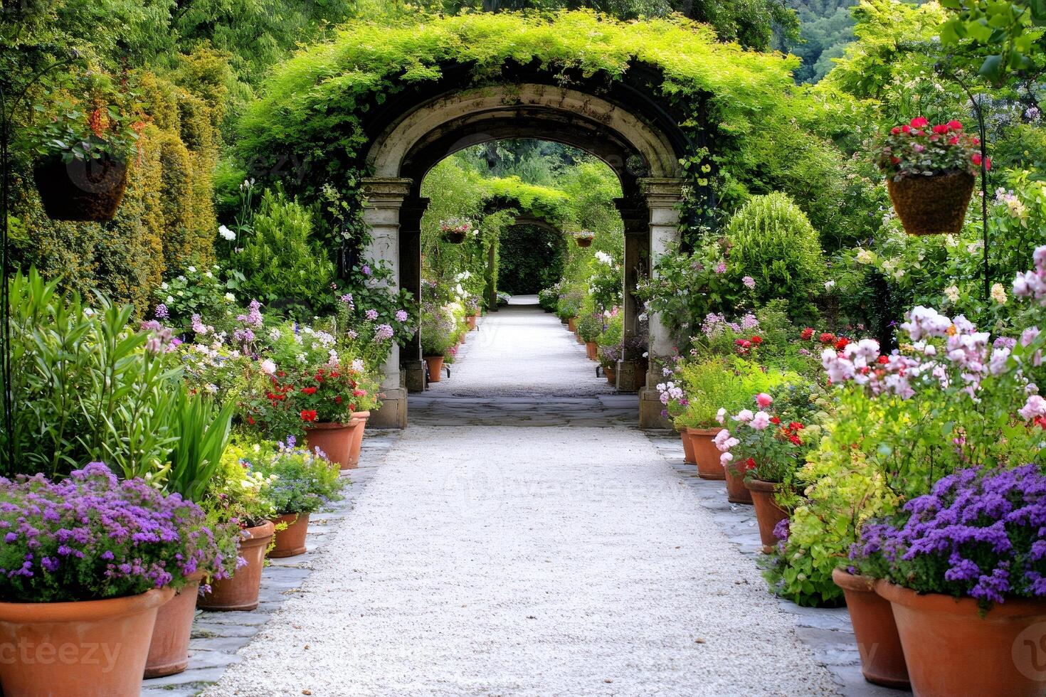 Gravel path going through multiple arches covered with climbing plants in a garden photo