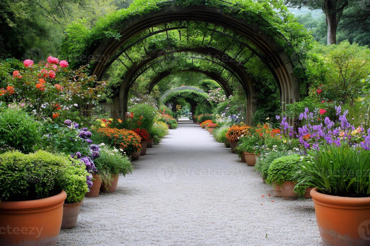 Gravel path going through multiple arches covered with climbing plants and colorful flowers photo