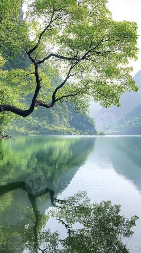 Lush green tree reflecting in a calm lake surrounded by mountains photo