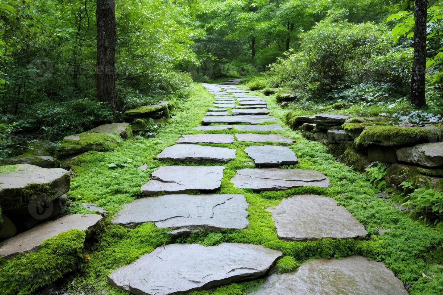 Stone path winding through lush green moss in peaceful forest garden photo