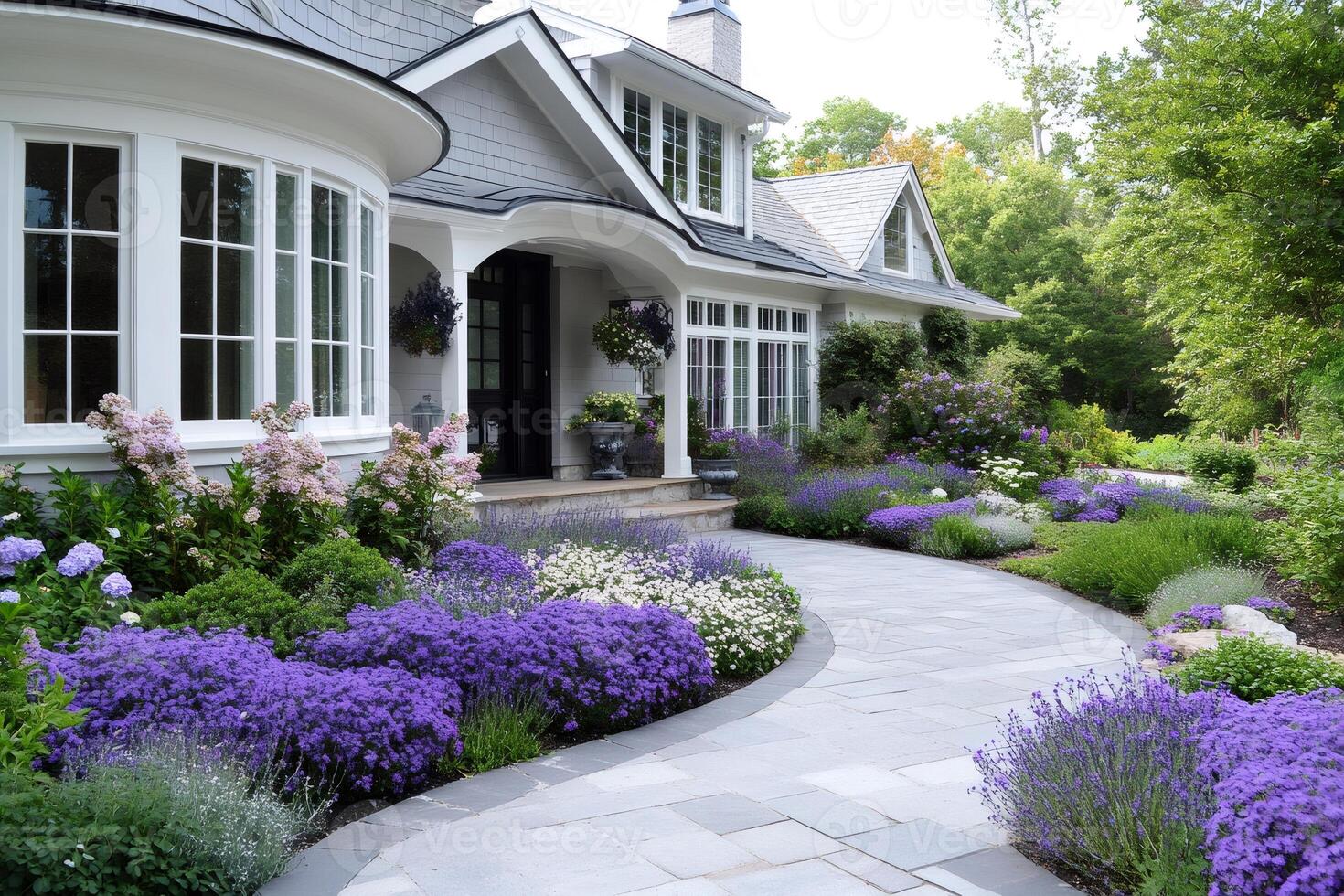 Beautiful landscaping with lavender surrounding gray paved walkway leading to luxurious house photo