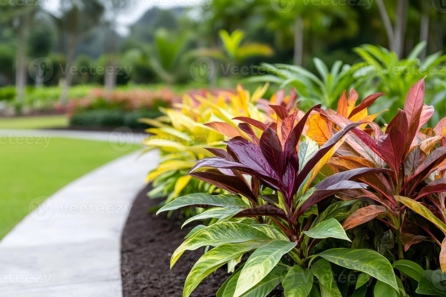 Colorful leaves creating a vibrant hedge along a garden path photo