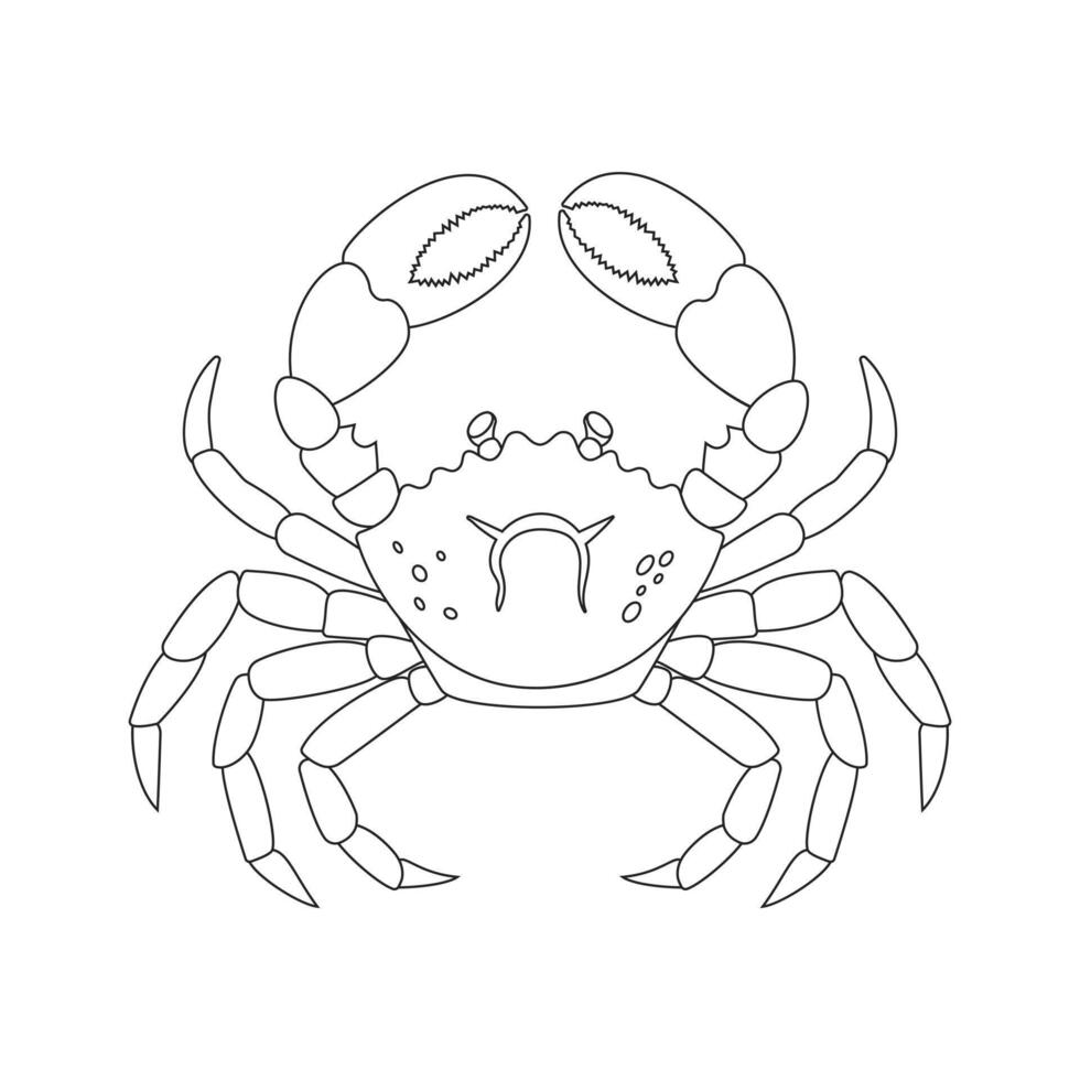 A detailed black and white drawing of a crab on a white background vector