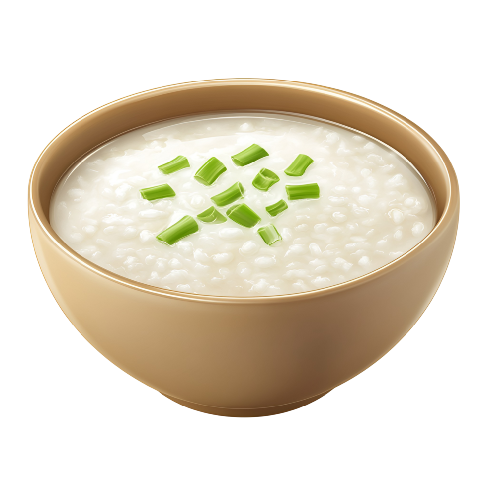 Rice bowl with green onions in it png