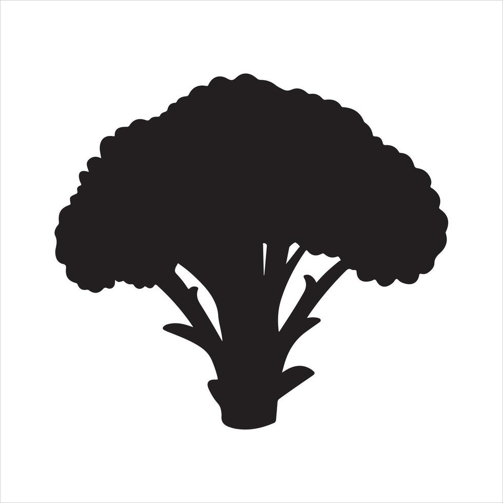 Black silhouette of a broccoli vegetable white background vector