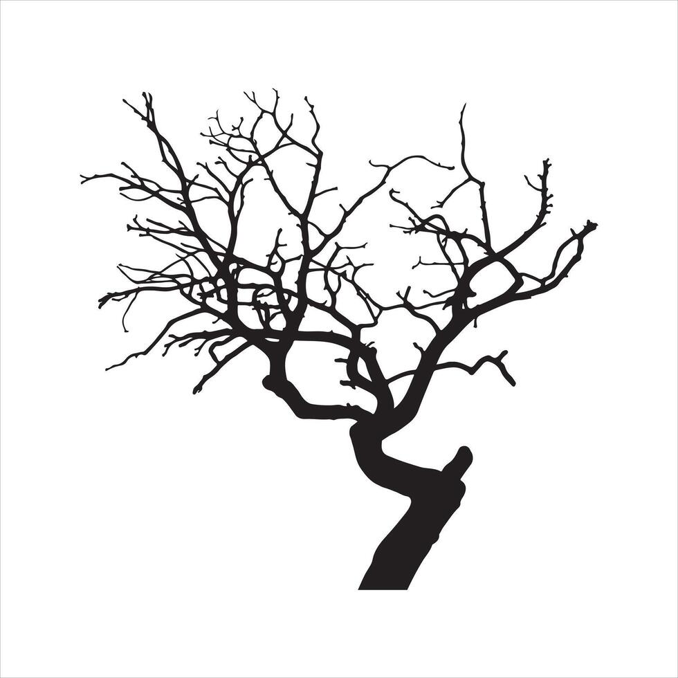 tree stands against a blank background, its bare branches reaching upwards. silhouette white background vector