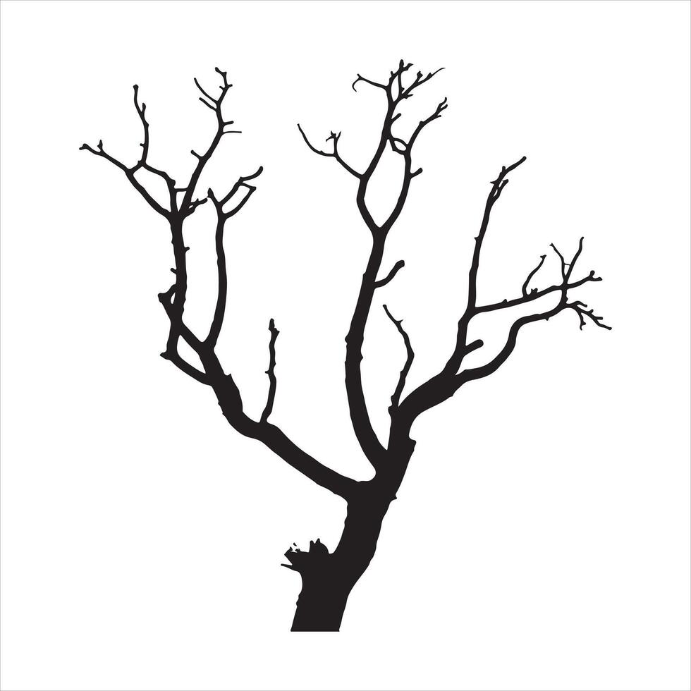 tree stands against a blank background, its bare branches reaching upwards. silhouette on white background vector