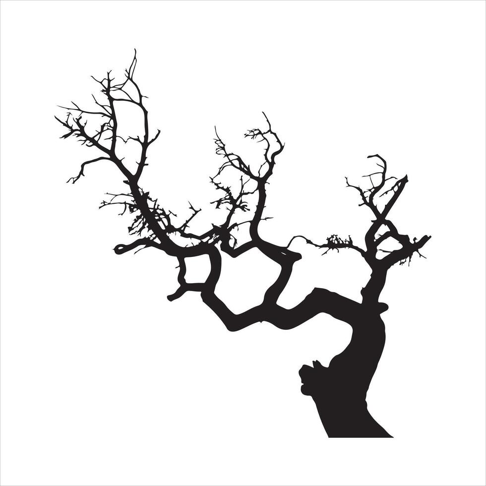 tree stands against a blank background, its bare branches reaching upwards. silhouette vector