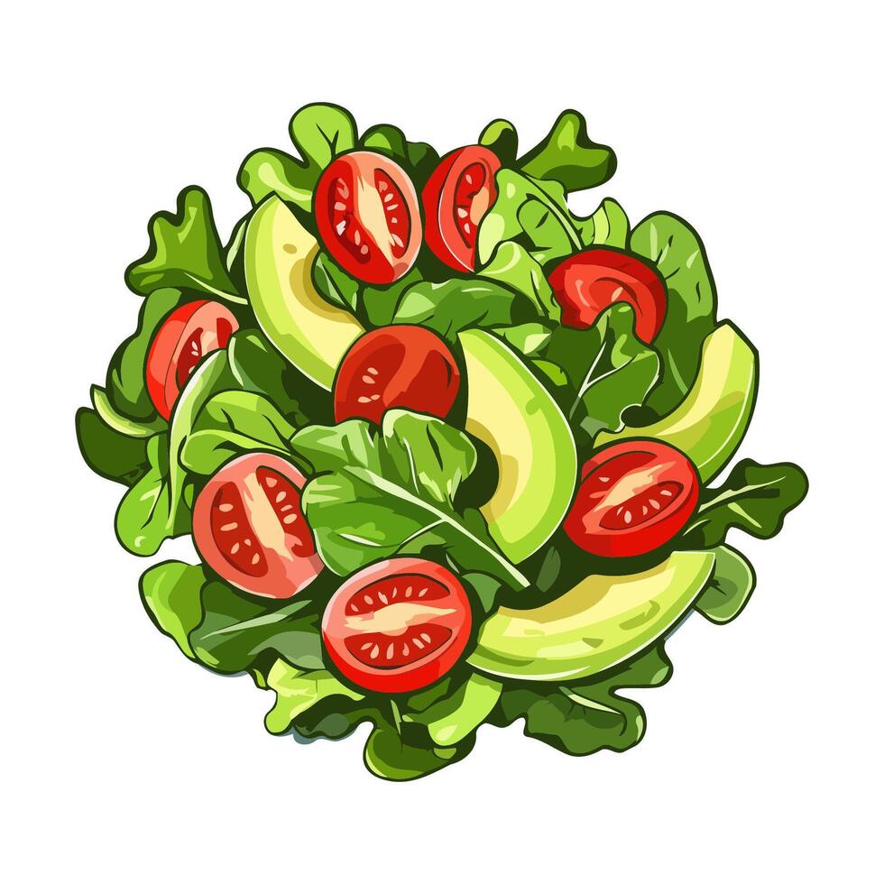 Healthy Green Salad Plate vector