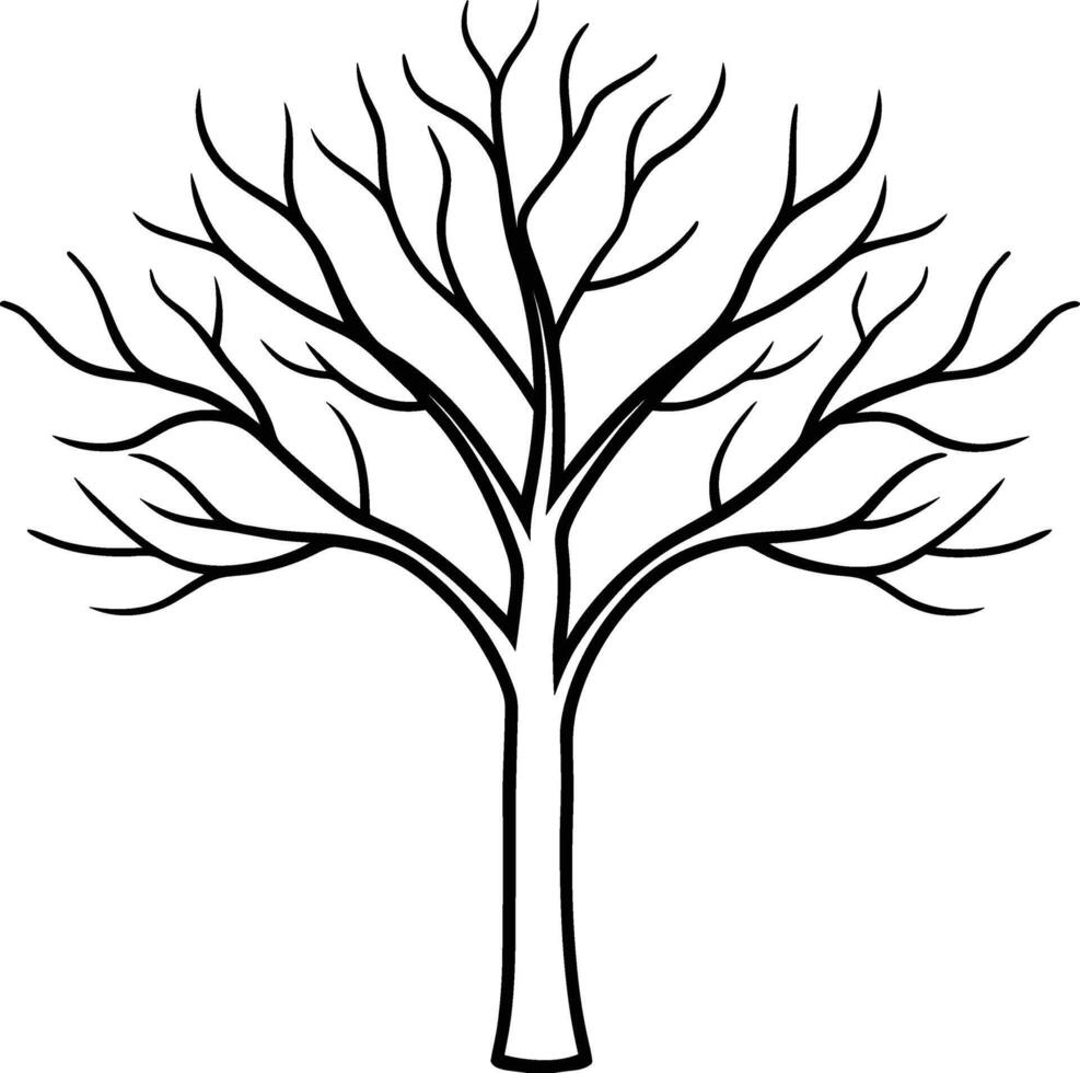 Elegant Leafless Tree Line Drawing - Minimalist Hand-Drawn Nature Illustration vector