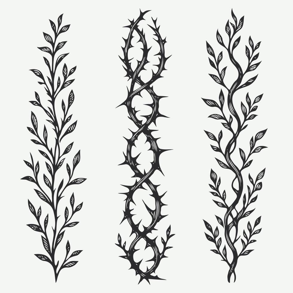 Detailed line art of twigs and thorns. Seamless pattern with tree branches. Set of black branches with spikes illustration. Illustration of the crowns of thorns on a white background. vector
