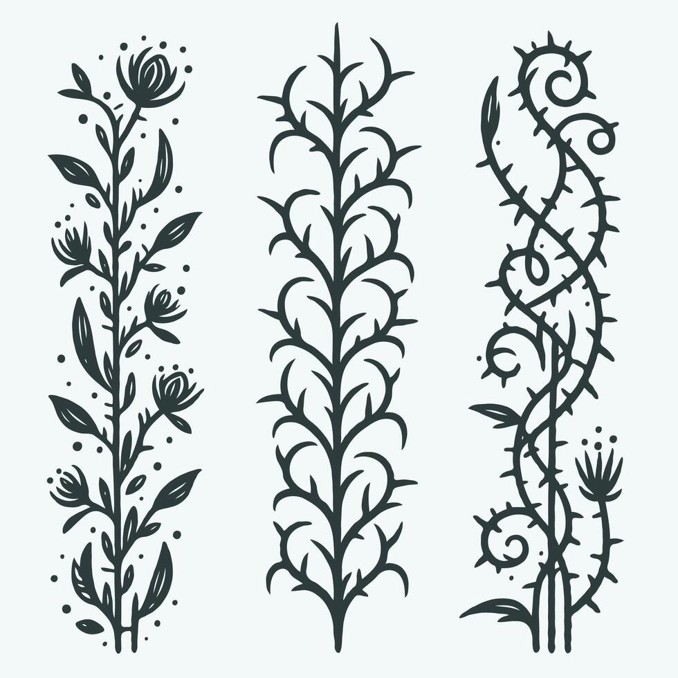 Botanical Illustration of Vines, Leaves, and Thorny Stems. Set of black branches with spikes illustration. Set of black silhouettes of twigs and leaves illustration. vector