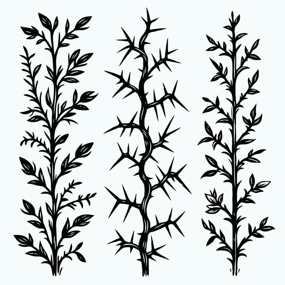 Close-up of black and white thorny branches. Set of black branches with spikes illustration. Set of black silhouettes of twigs and leaves illustration. vector