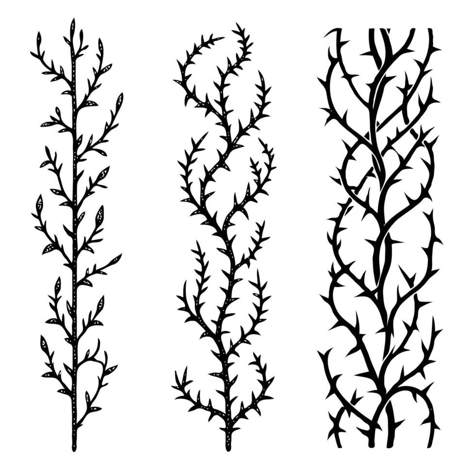 Detailed line art of twigs and thorns. Seamless pattern with tree branches. Close-up black and white thorny branches. Botanical Illustration Vines, Leaves, Thorny Stems silhouettes twigs illustration. vector