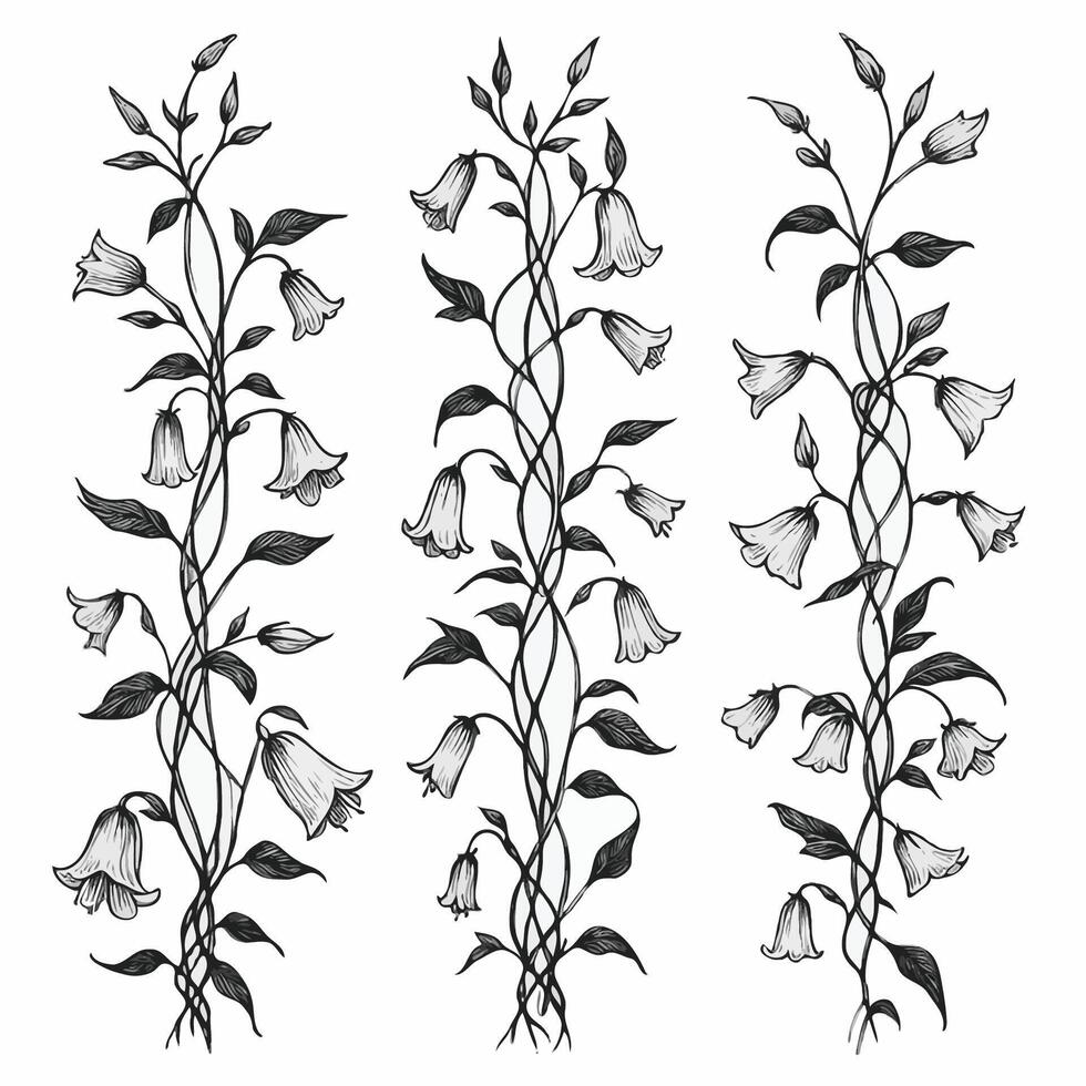 Set of twigs, branches, leaves, doodle floral pattern. Hand drawn Botanical drawing elegant. Detailed art bluebell, Campanula vine illustration. Outline Simple Stylized Art, harebell flowers blossom vector