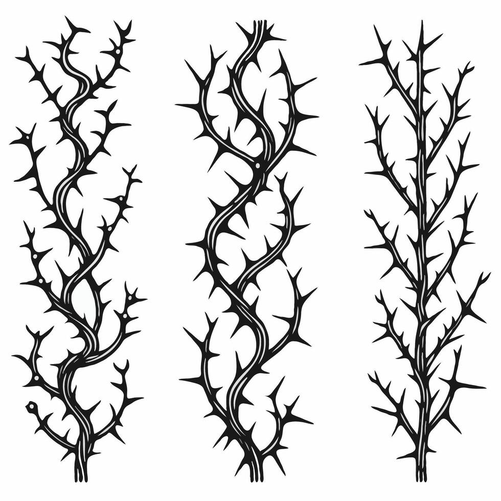 Detailed line art of twigs and thorns. Seamless pattern with tree branches. Set of black dry branches illustration with spikes illustration of the crowns of thorns on a white background. vector