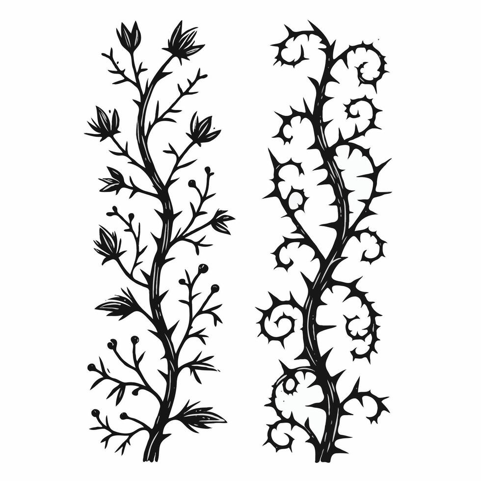 Detailed line art twigs and thorns, pattern with tree branches. Close-up of black and white thorny branches. Set of black silhouettes of twigs and leaves illustration silhouettes twigs and leaves. vector