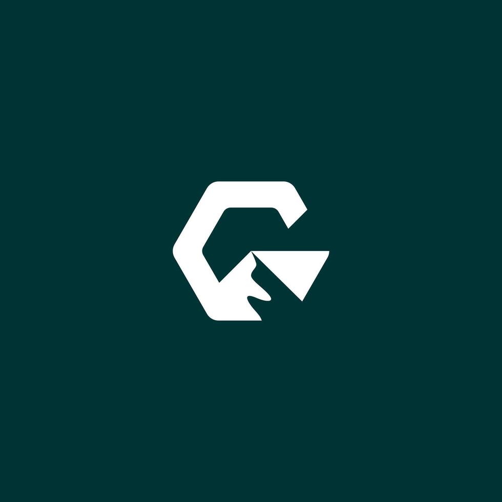 G mountain hexagon logo, for adventure business brand vector