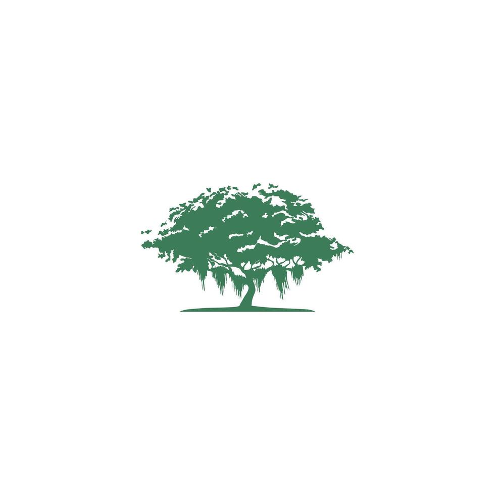 Oak Tree Logo Template for Business and Company vector
