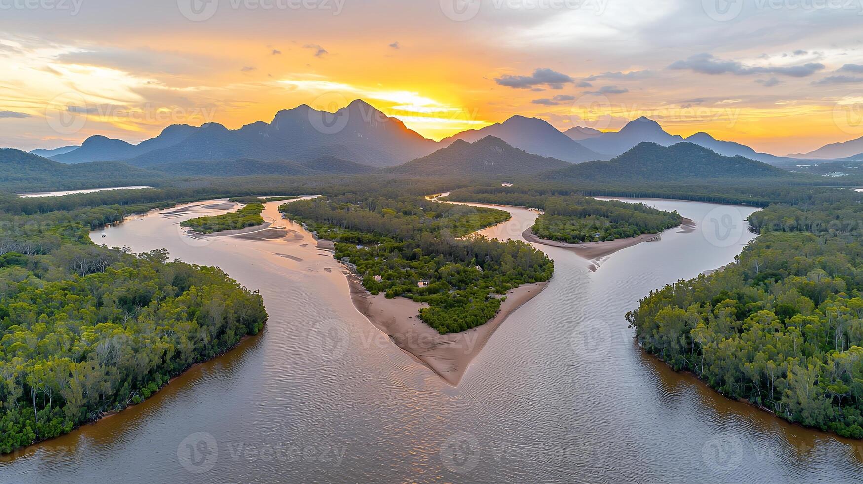 A river flowing through a forest photo
