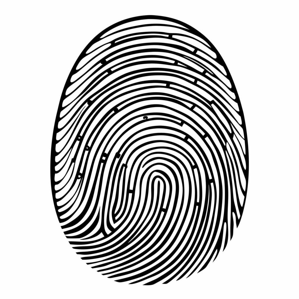 Detailed Black and White Fingerprint Illustration for Security Concepts vector
