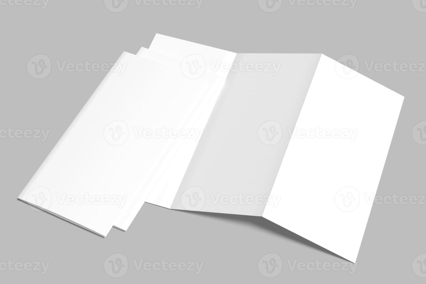 tri fold brochure blank mockup photo