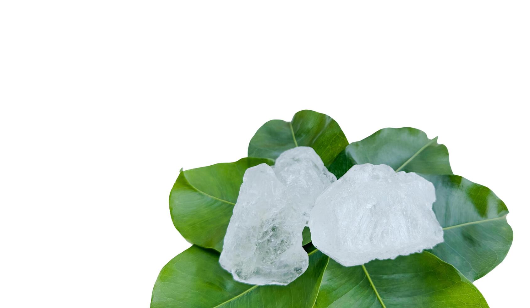 1. Crystal clear alum cubes or Potassium alum in on green leaves chemical compound substance concept for beauty spa and underarm treatment industrial photo