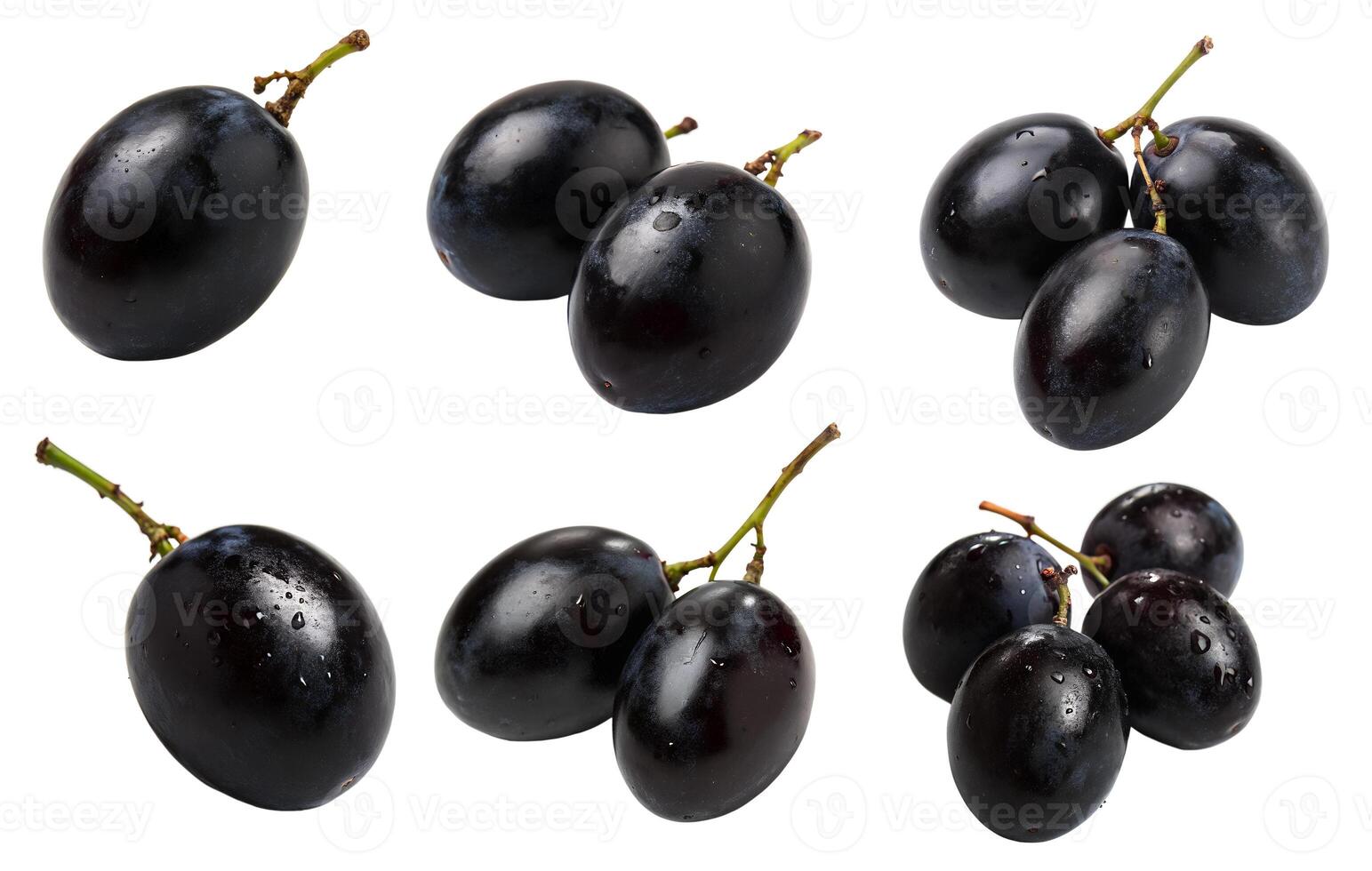 A set of black grape berries on a white background. photo