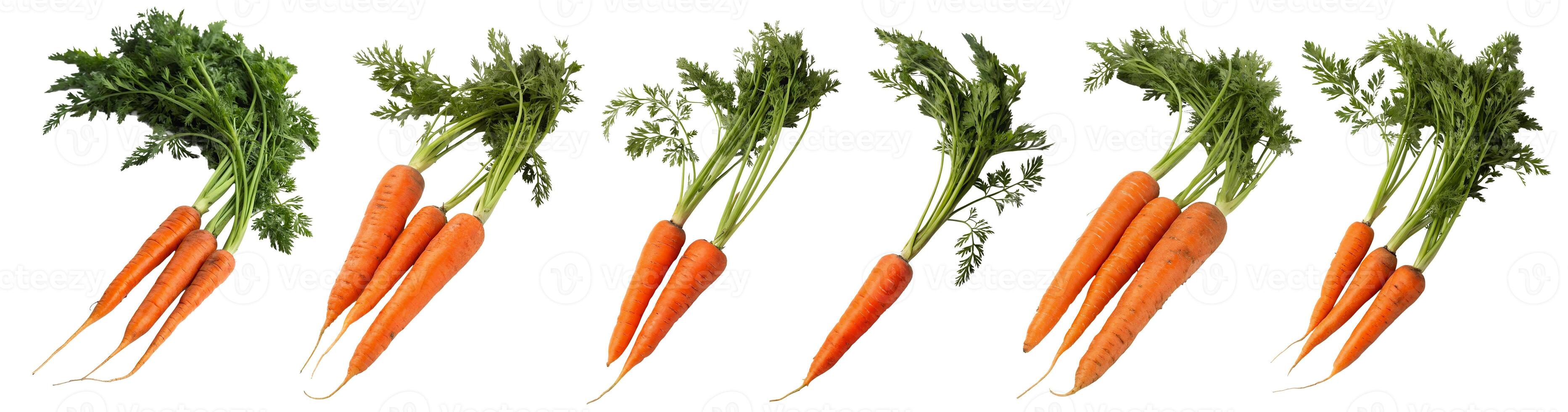 A set of carrots isolated on a white background photo