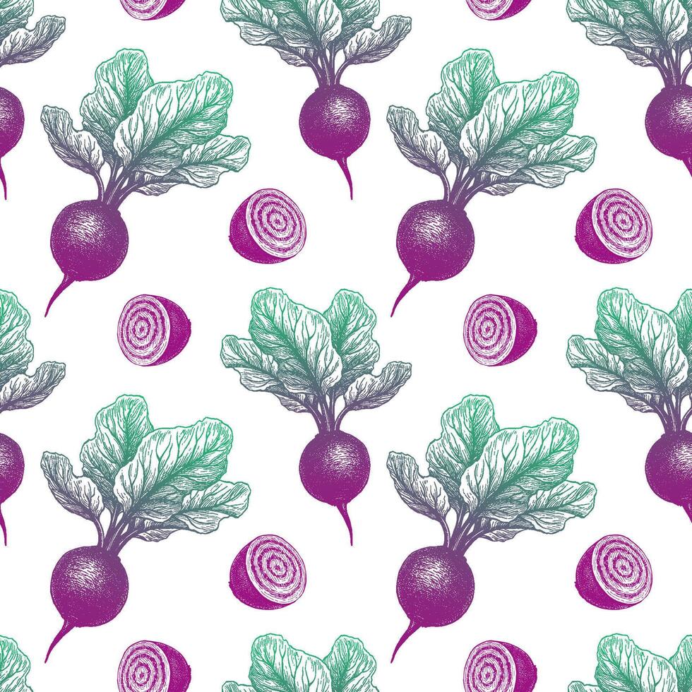 Beetroot with tops. Seamless pattern. Ink sketch on white background. Hand drawn illustration. Retro style. vector