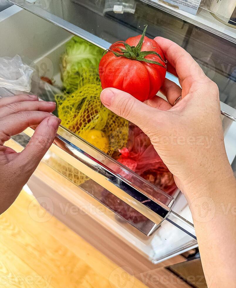 A woman puts tomato in the refrigerator. Fresh Vegetables lying on the shelf in the fridge. High quality photo